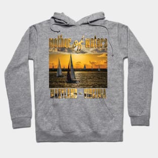 Chesapeake Bay Hoodie